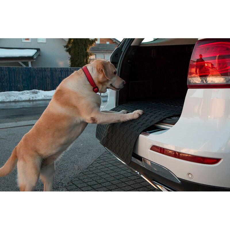 Rubbasol (Rubber) Universal Doggy mat / Trunk protector - Big - 85x65cm