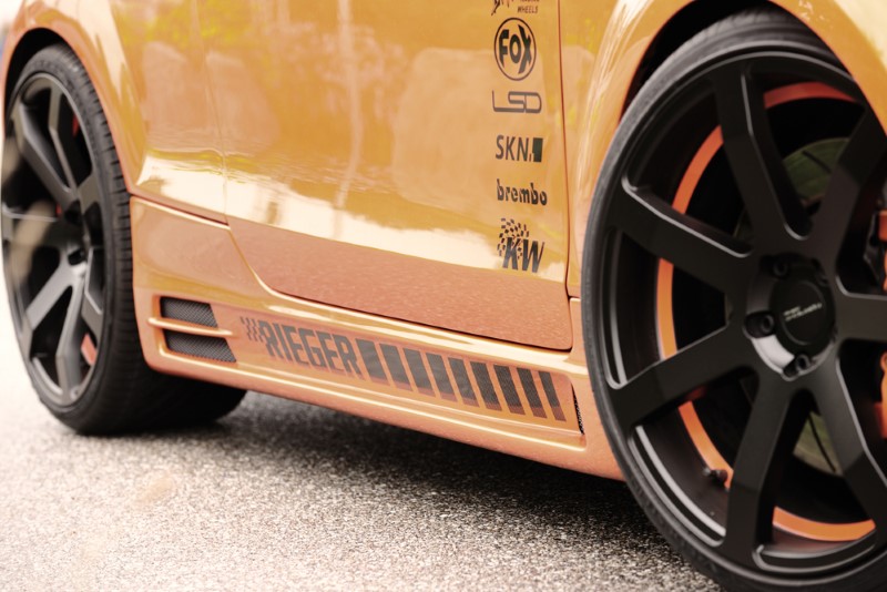 Sideskirts Audi TT 8J 96.06- with 2 schacht and 2 uitsnedes Rieg