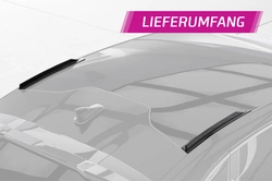 Roof Fins Cupra Tavascan – CSR Automotive Racing Fins gloss black