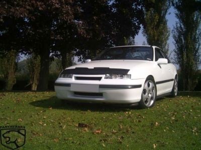 Steenslag/Auto Bra VW Golf II83