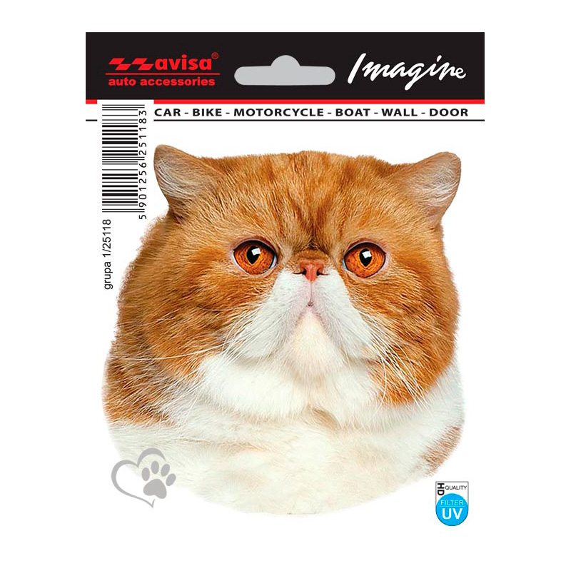 Auto Tattoo Sticker Persian - 11x11cm