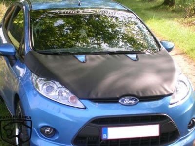 Steenslag/Auto Bra VW Golf I19