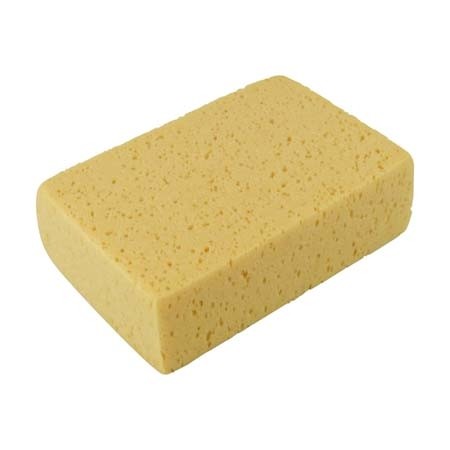 SPONGE