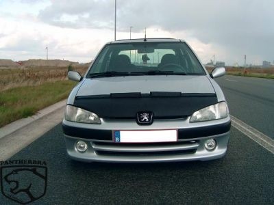 Steenslag/Auto Bra VW Golf III05