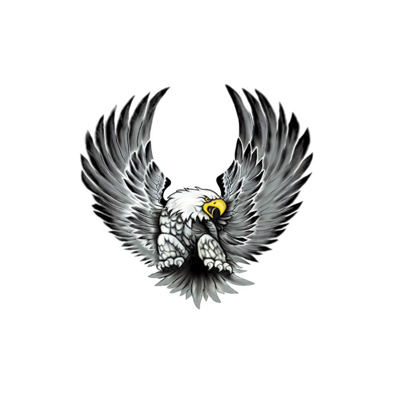 Sticker set Eagles - 2x 15x14,5cm
