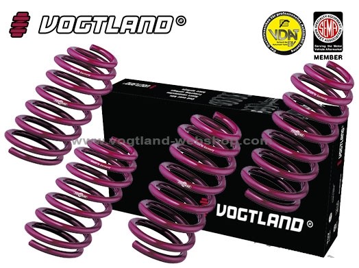 Springs Ford Mondeo, Typ BA7, Turnier, 2.0l, 2.2l, 2.5l en Diese