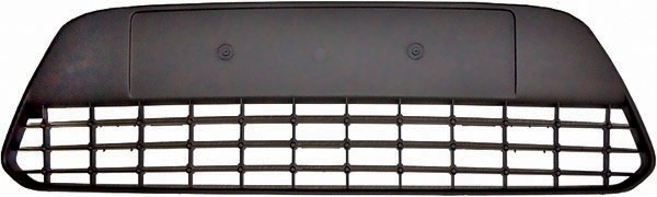 Bumper Grill midden C-MAX 07.11