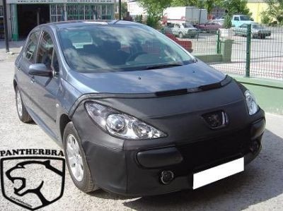 Steenslag/Auto Bra VW Golf III13