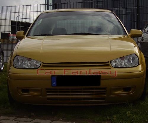 hoodextension Golf IV staal