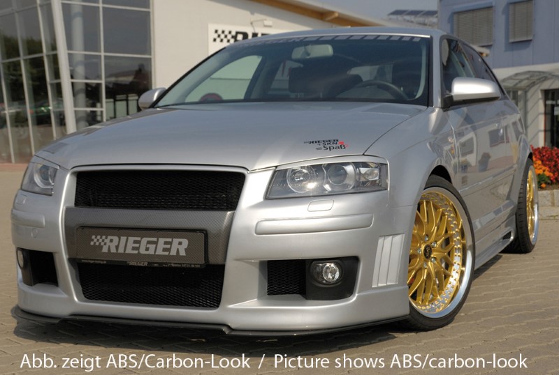 Spoilerzwaard Voor Spoilerlip Audi A3 8P ABS gevormde versie Rie