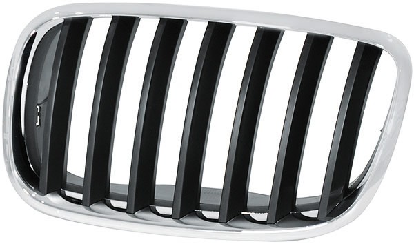 RadiatorGrill links BMW X5 07-11