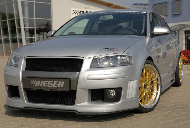 Spoilerzwaard Carbon-Look voor Frontbumper Audi A3 8P versie Rie