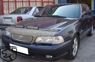 Steenslag/Auto Bra VW Golf IV69