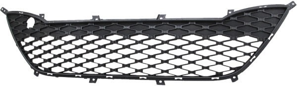 Bumper Grill Midden  i11