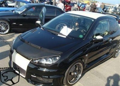 Steenslag/Auto Bra VW Golf III08