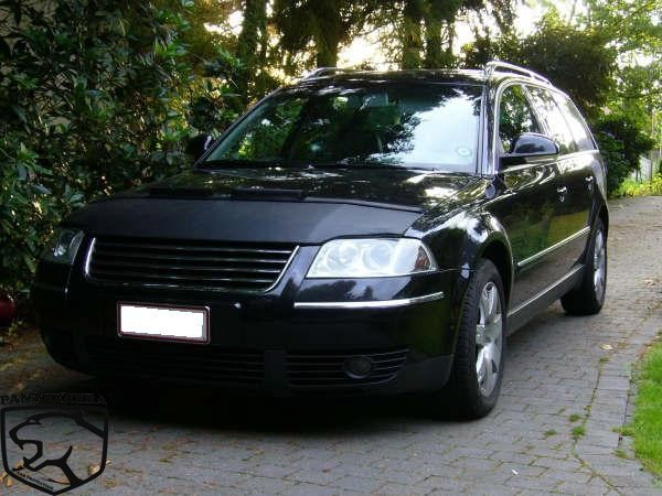 Steenslag/Auto Bra VW Golf IV40