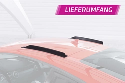 Roof Fins Audi TT / TTS / TT RS FV 8S Coupe – CSR Automotive Racing Fins gloss black