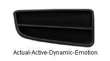 voorbumpergrille, links Fiat Panda, 2003-2014