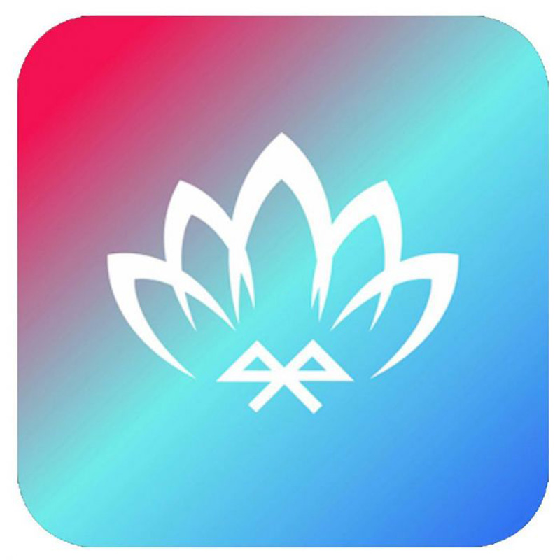 10-Piece Multi-Color LED Interior Ambience Lighting with App Control & 8-meter Optical Fiber