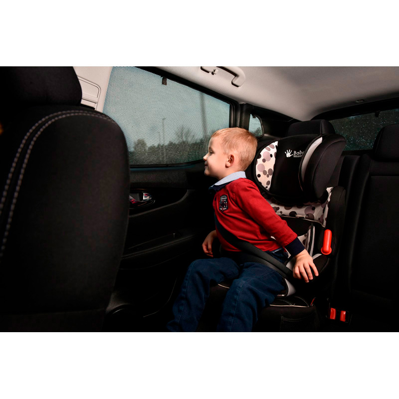 Set Car Shades  Range Rover Velar 2017- (6-pieces)
