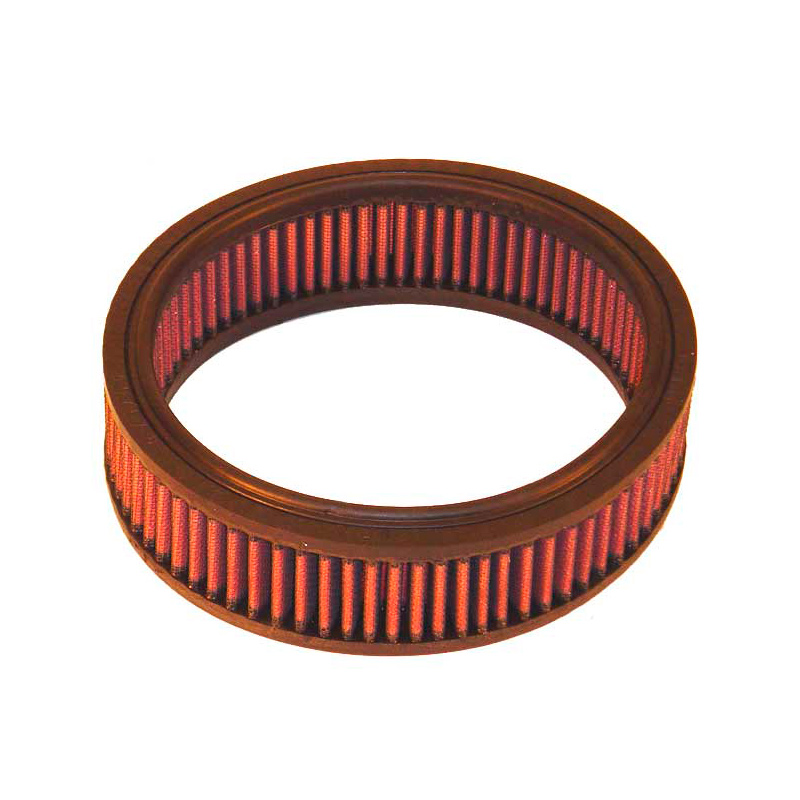 K&N Replacement Air Filter  Austin (E-2601)