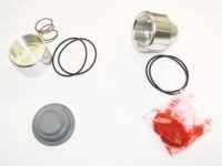 Revisie Set Forge Valves DV002