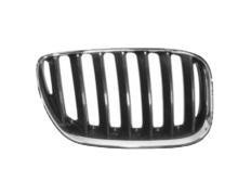 grille, rechts BMW X5 E53, 2003-2009