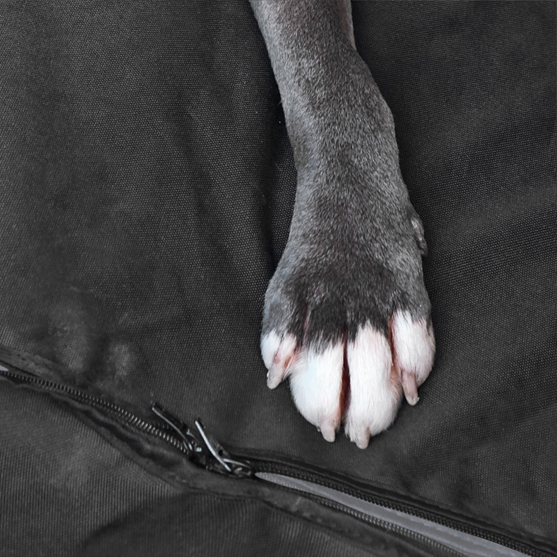 Universal Pet Car Seat Protector for the Rear Bench in Black Water-repellent Fabric - 1 piece
